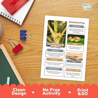 Freshwater Shrimp Animal Research Page Worksheets