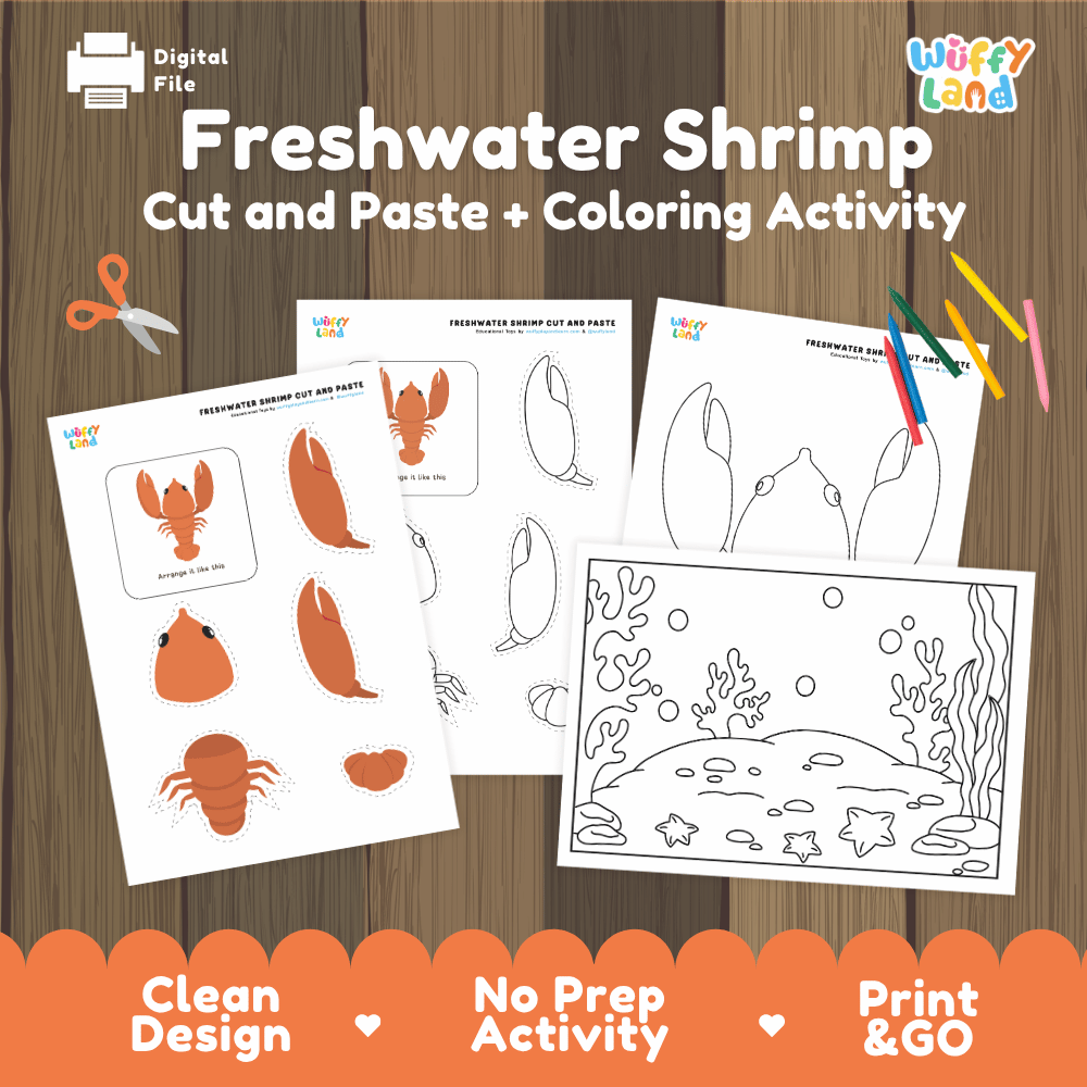 Freshwater Shrimp Cut and Paste Craft and Coloring Activity Worksheets