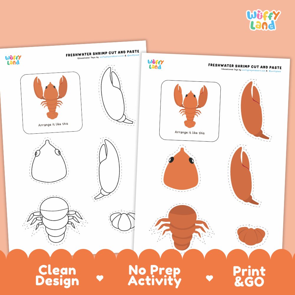 Freshwater Shrimp Cut and Paste Craft and Coloring Activity Worksheets
