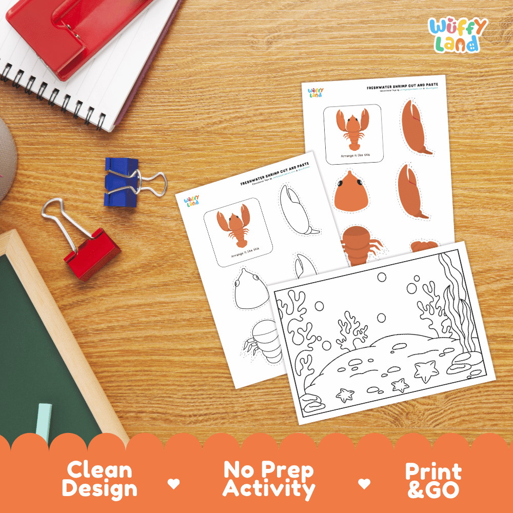 Freshwater Shrimp Cut and Paste Craft and Coloring Activity Worksheets