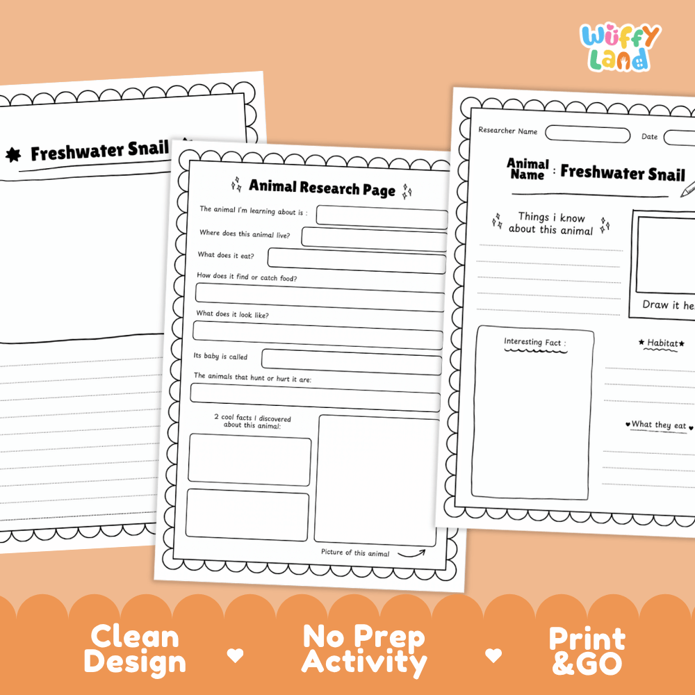Freshwater Snail Animal Research Page Worksheets