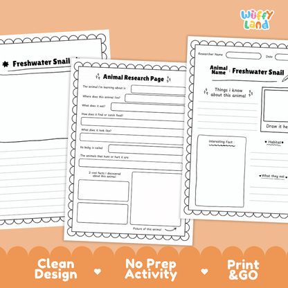 Freshwater Snail Animal Research Page Worksheets