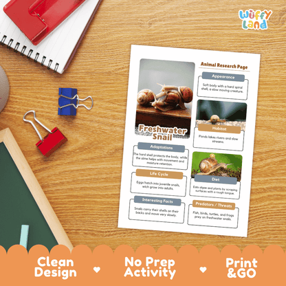 Freshwater Snail Animal Research Page Worksheets
