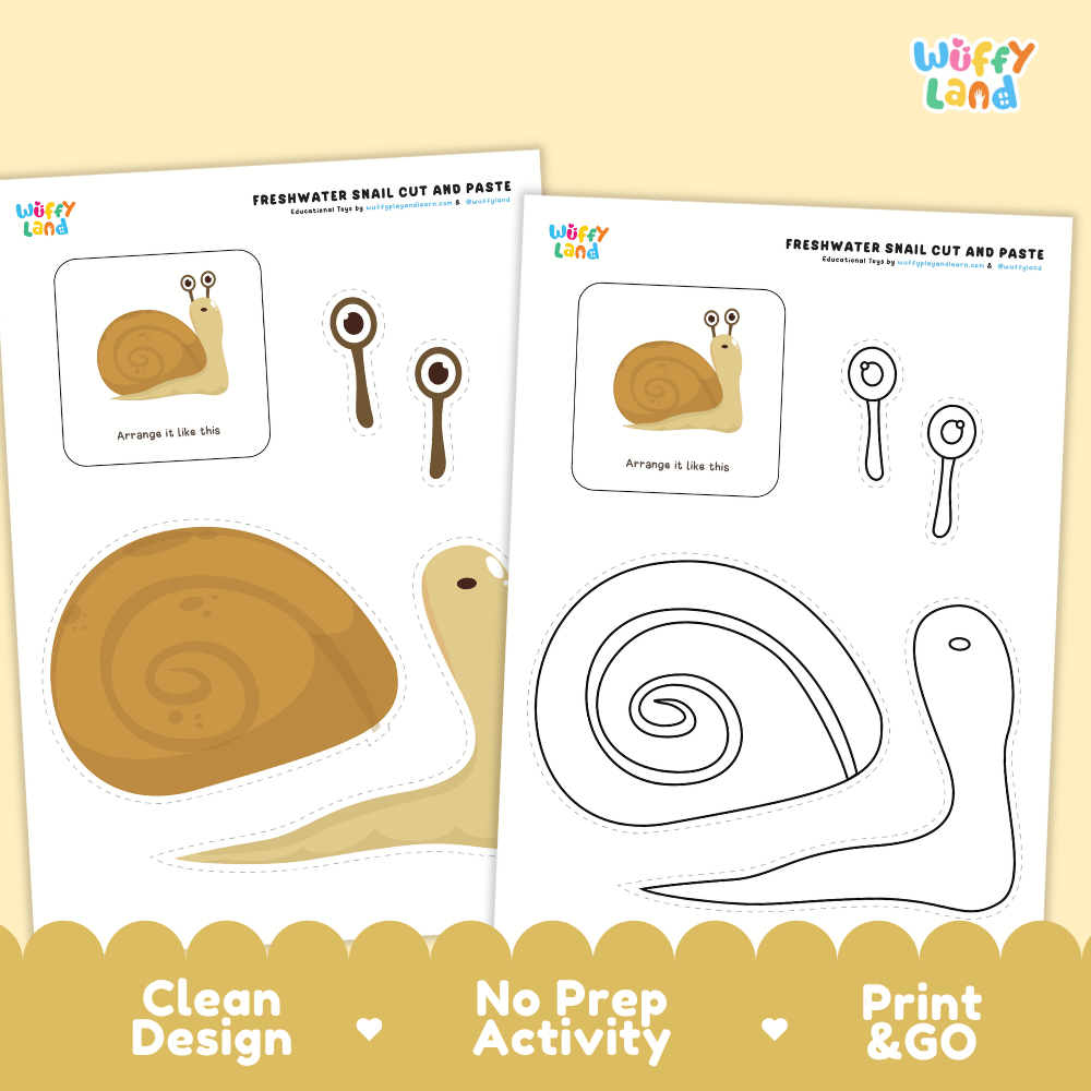 Freshwater Snail Cut and Paste Craft and Coloring Activity Worksheets