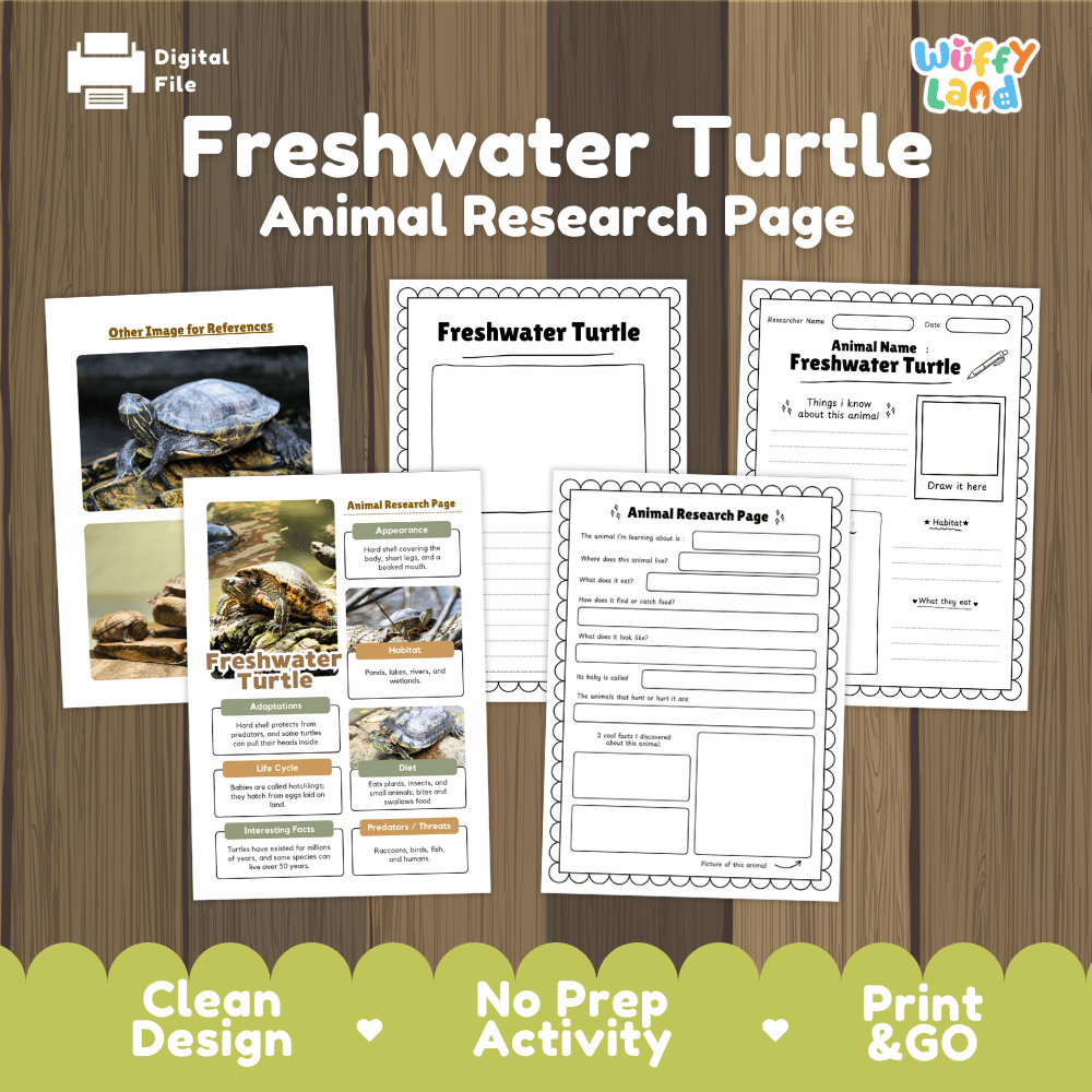 Freshwater Turtle Animal Research Page Worksheets