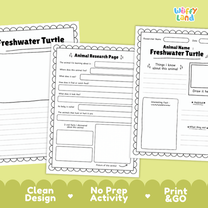 Freshwater Turtle Animal Research Page Worksheets