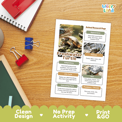 Freshwater Turtle Animal Research Page Worksheets