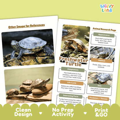 Freshwater Turtle Animal Research Page Worksheets