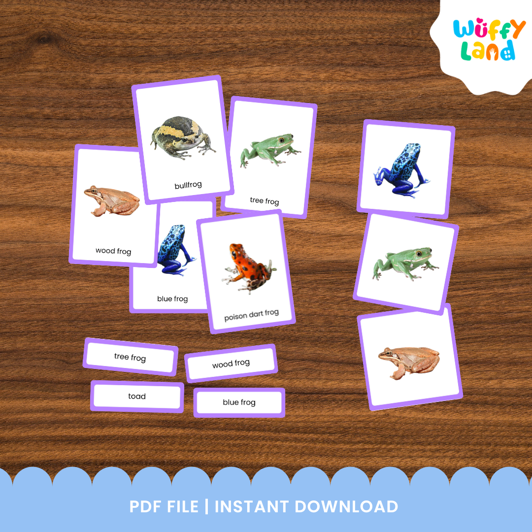 Frog and toad vocabulary picture cards with realistic images and matching labels for preschool and elementary learners