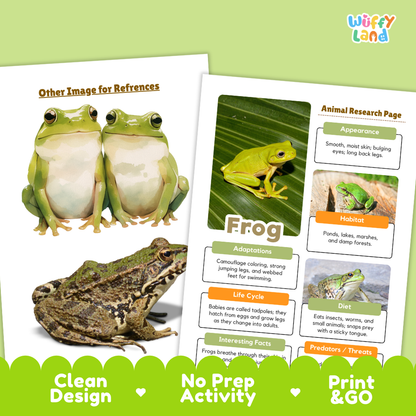 Frog Animal Research Project Printable Informational Writing Worksheets