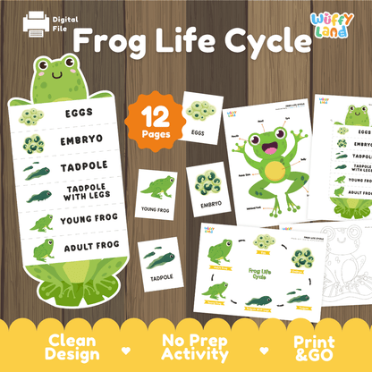 Frog Life Cycle Printable - Fun & Educational Science Activity for Kids
