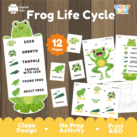Frog Life Cycle Printable - Fun & Educational Science Activity for Kids