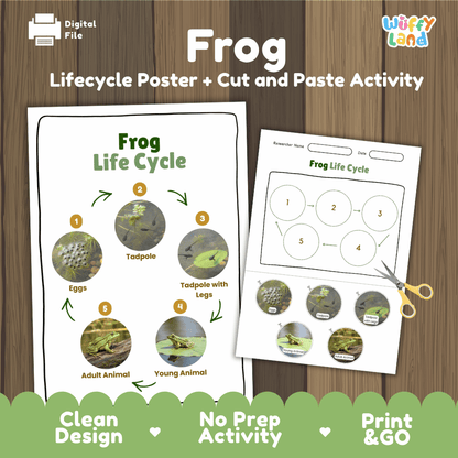 Frog Lifecycle Poster and Cut and Paste Activity Worksheets | Amphibian Science Printables