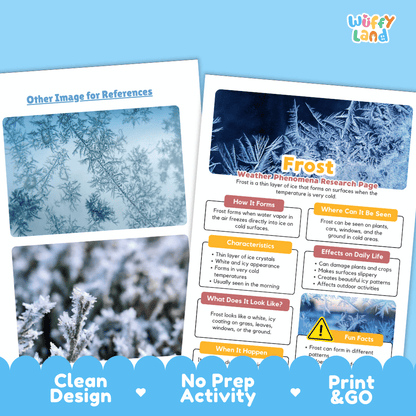 Frost Weather Phenomena Research Worksheets and Informational Fact Sheets