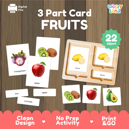 Fruit 3 part cards Montessori printable featuring 22 fruits with realistic pictures, word labels and matching cards