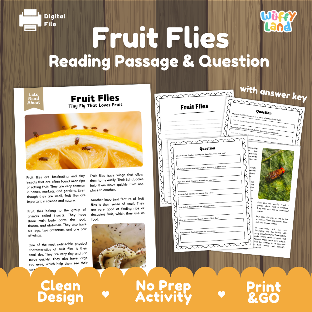Fruit Flies Reading Passage and Comprehension Questions Worksheets