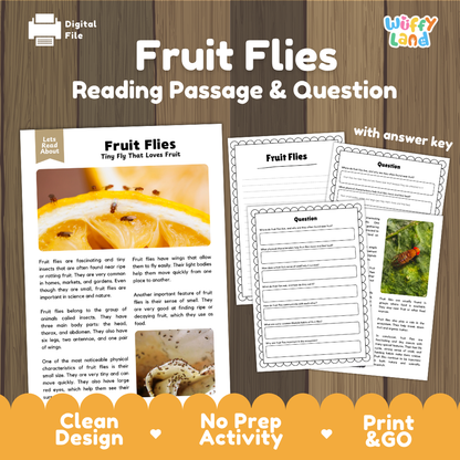 Fruit Flies Reading Passage and Comprehension Questions Worksheets