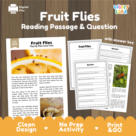 Fruit Flies Reading Passage and Comprehension Questions Worksheets