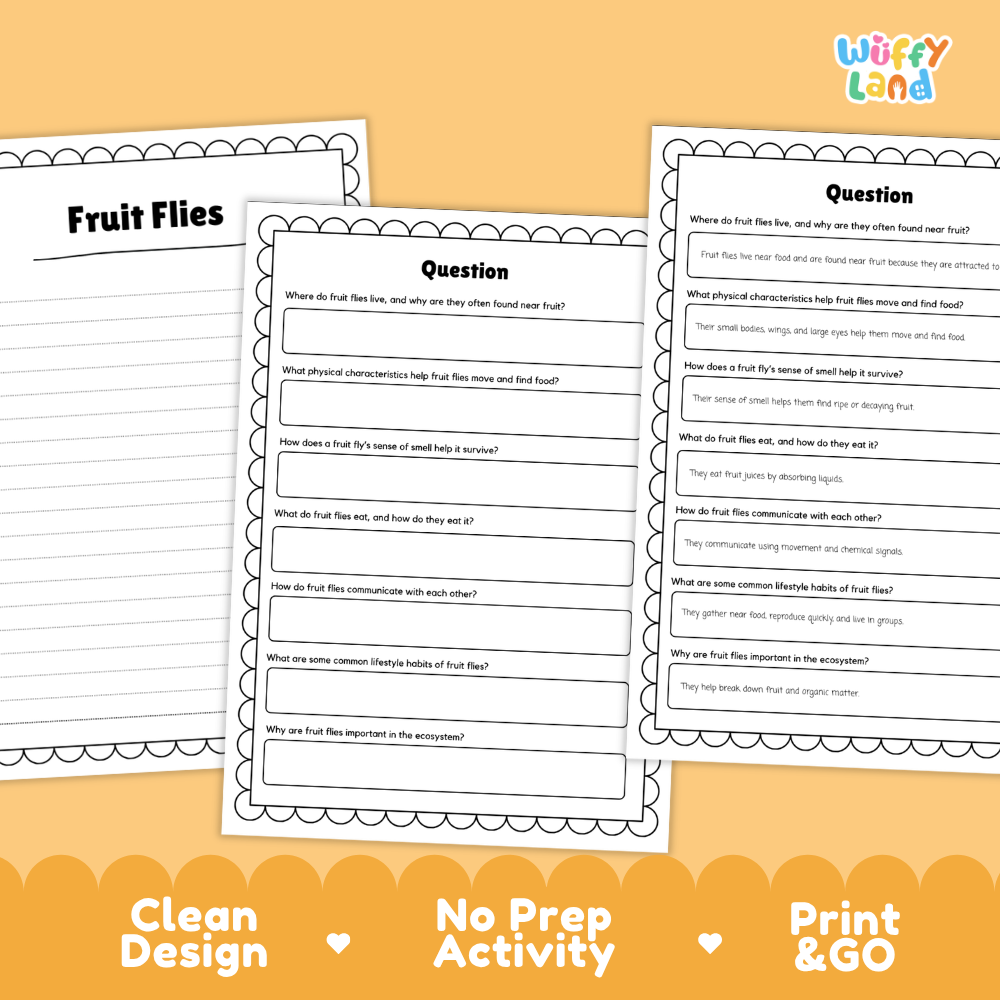 Three printable worksheet pages about fruit flies are shown on a warm orange background with decorative text reading 'Clean Design,' 'No Prep Activity,' and 'Print & Go.' The pages have black text and lined question sections, and the brand name 'Wiffly Land' appears in the top right.
