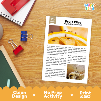 A printed fruit flies activity sheet laid on a wooden desk with notebooks, binder clips, and a red folder nearby. The sheet has text, a fruit fly photo, and small diagrams.