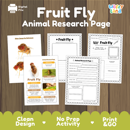 Fruit Fly Animal Research Page Worksheets
