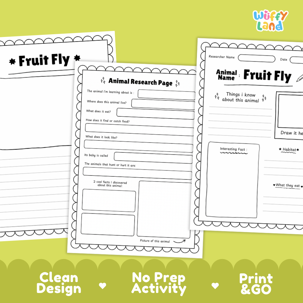 Three printable worksheet pages about the fruit fly are shown on a bright yellow-green background with marketing text at the bottom. The pages are white with black outlines and text, and the top-right corner shows the brand name 'Wiffly Land'.
