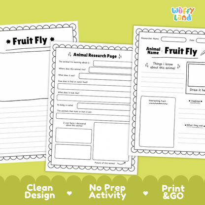 Three printable worksheet pages about the fruit fly are shown on a bright yellow-green background with marketing text at the bottom. The pages are white with black outlines and text, and the top-right corner shows the brand name 'Wiffly Land'.
