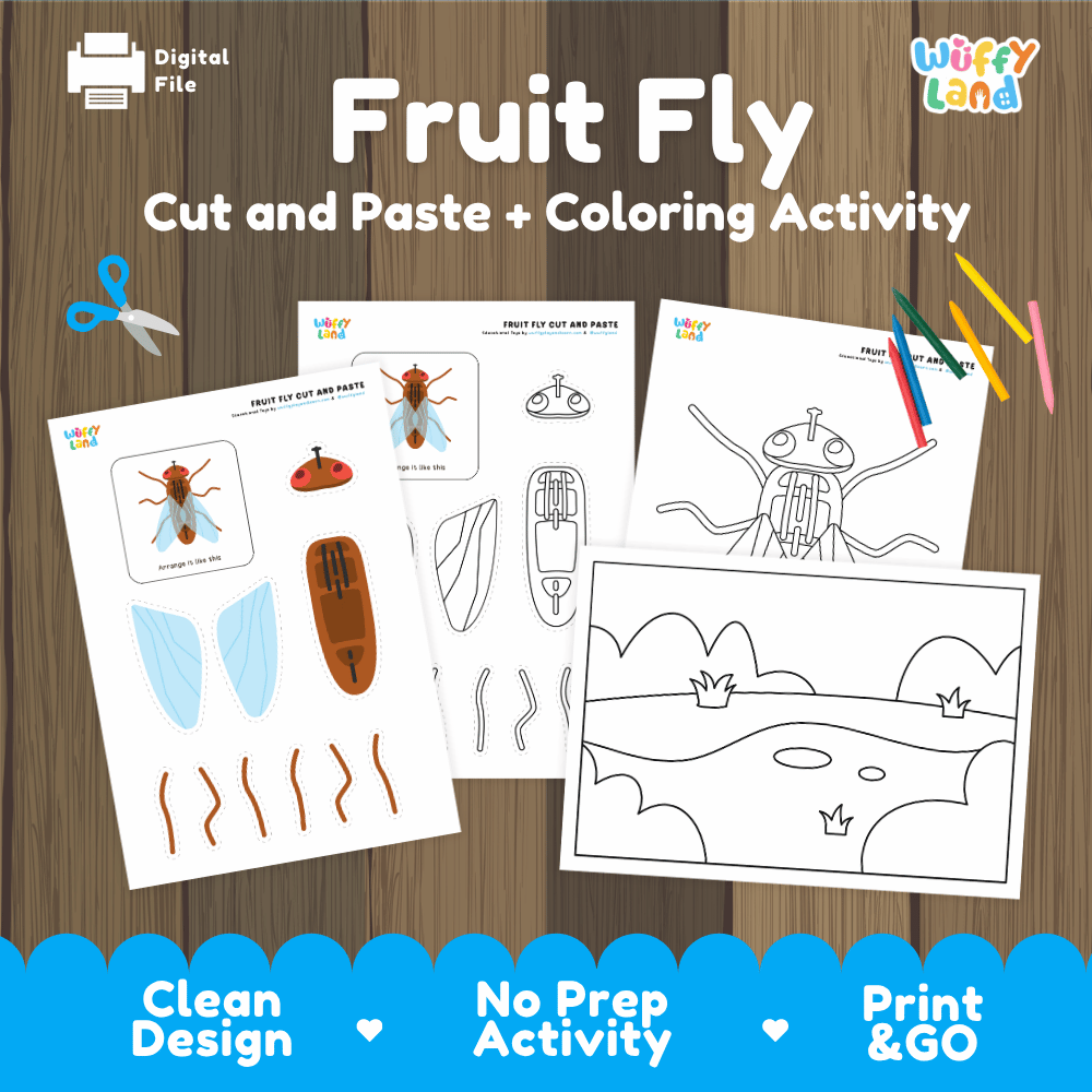 Fruit Fly Cut and Paste Craft and Coloring Activity Worksheets