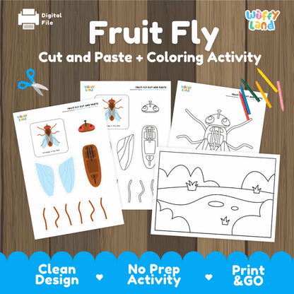 Fruit Fly Cut and Paste Craft and Coloring Activity Worksheets