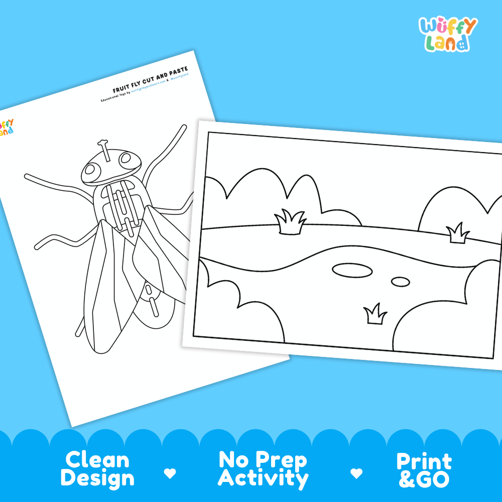 Fruit Fly Cut and Paste Craft and Coloring Activity Worksheets