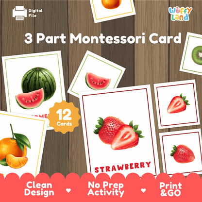 Fruits 3 part Montessori cards printable vocabulary and botany activity pack overview from Wuffy Land featuring 12 fruit cards 🍓🍉