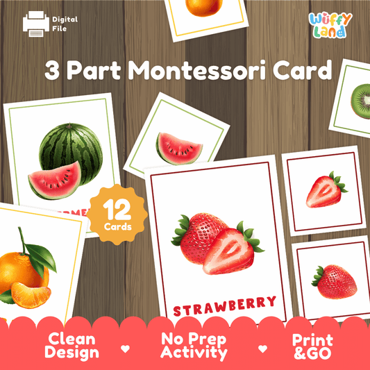 Fruits 3 part Montessori cards printable vocabulary and botany activity pack overview from Wuffy Land featuring 12 fruit cards 🍓🍉