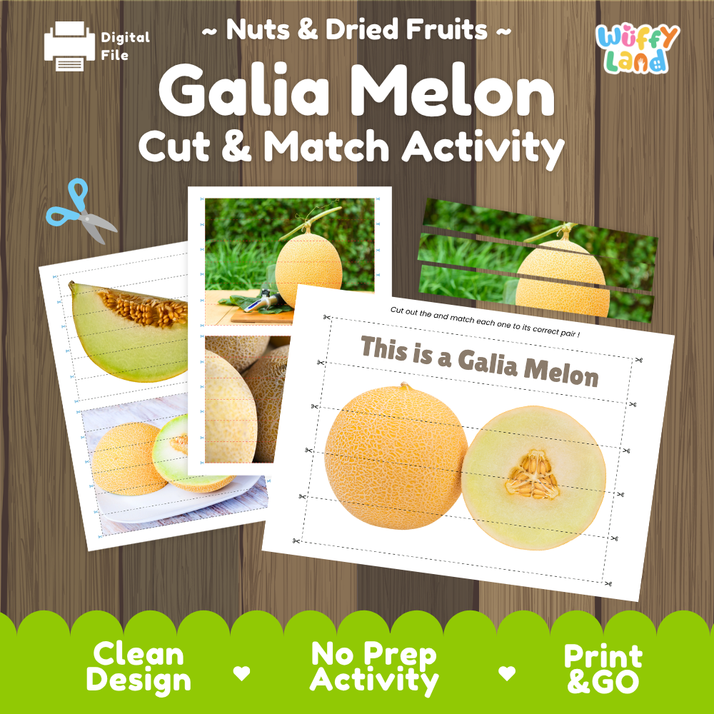 Galia melon cut and match activity cover showing printable fine motor puzzle sheets and melon photographs