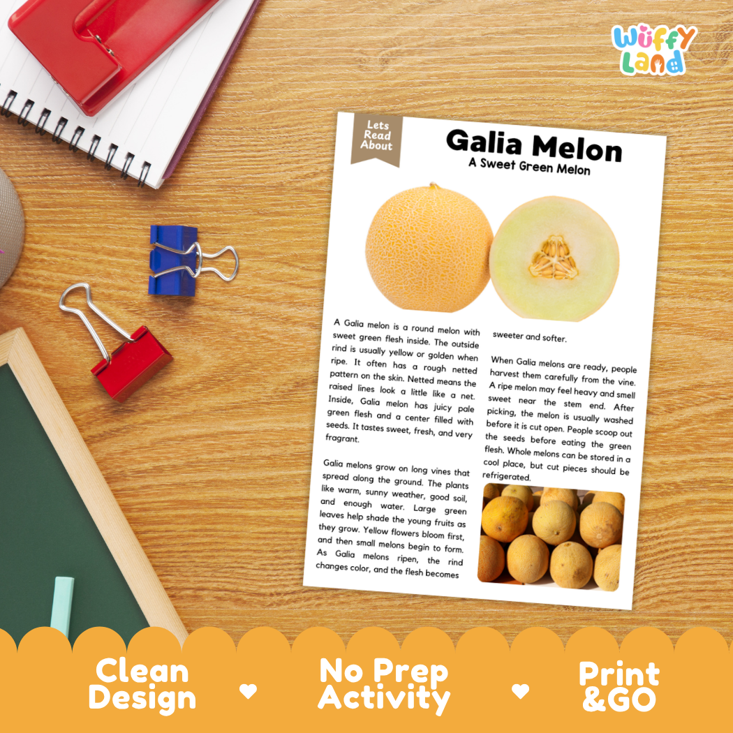 Student reading comprehension worksheet with short-answer questions and lined sections about the Galia melon fruit
