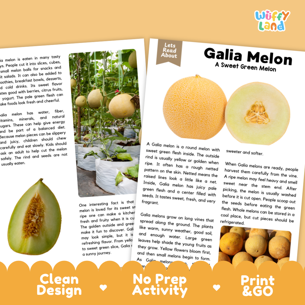 Teacher answer key page showing complete question solutions for Galia Melon nature and science reading comprehension practice