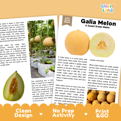 Teacher answer key page showing complete question solutions for Galia Melon nature and science reading comprehension practice