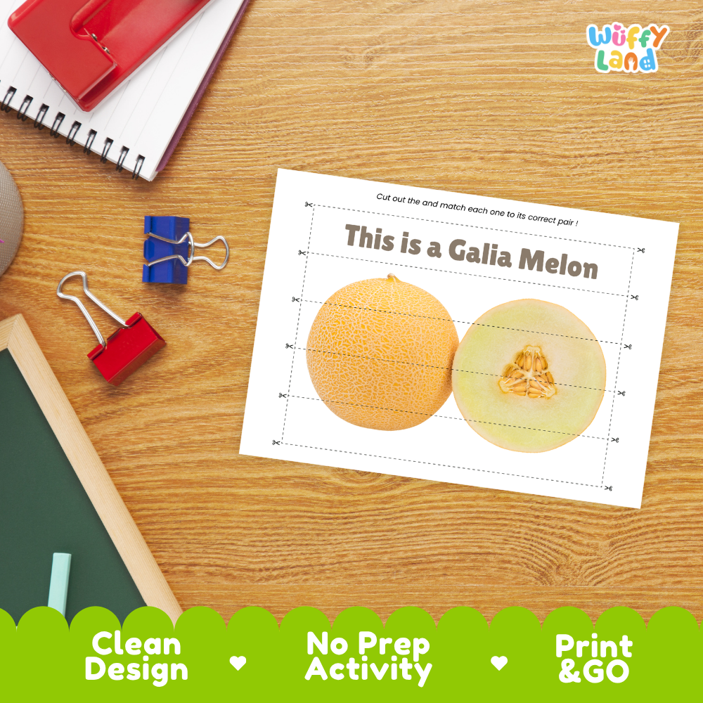 Close-up of puzzle worksheet showing Galia melon images and dotted scissor lines