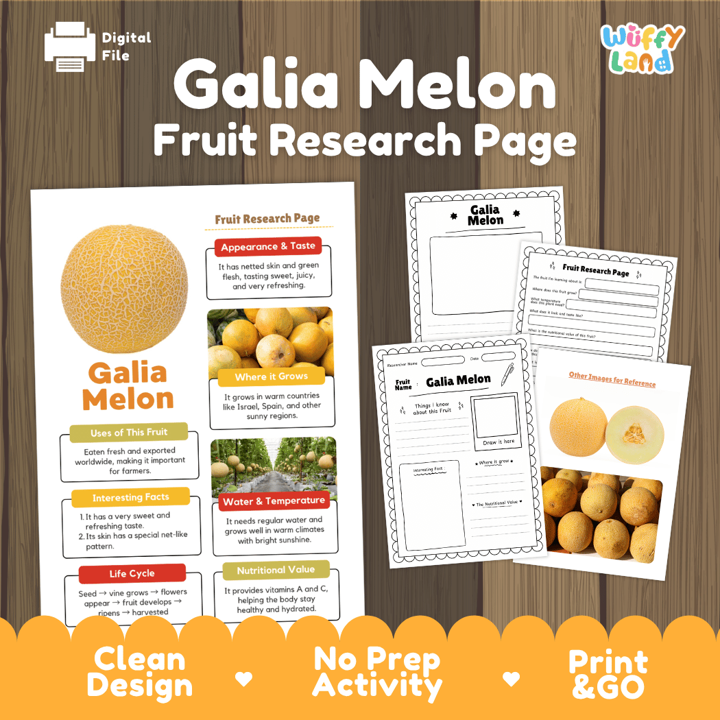 Galia Melon Fruit Research Page Worksheets and Fact Sheet