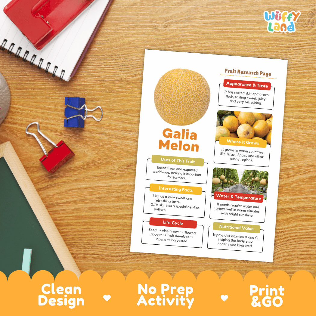 Galia Melon Fruit Research Page Worksheets and Fact Sheet