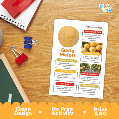 Galia Melon Fruit Research Page Worksheets and Fact Sheet