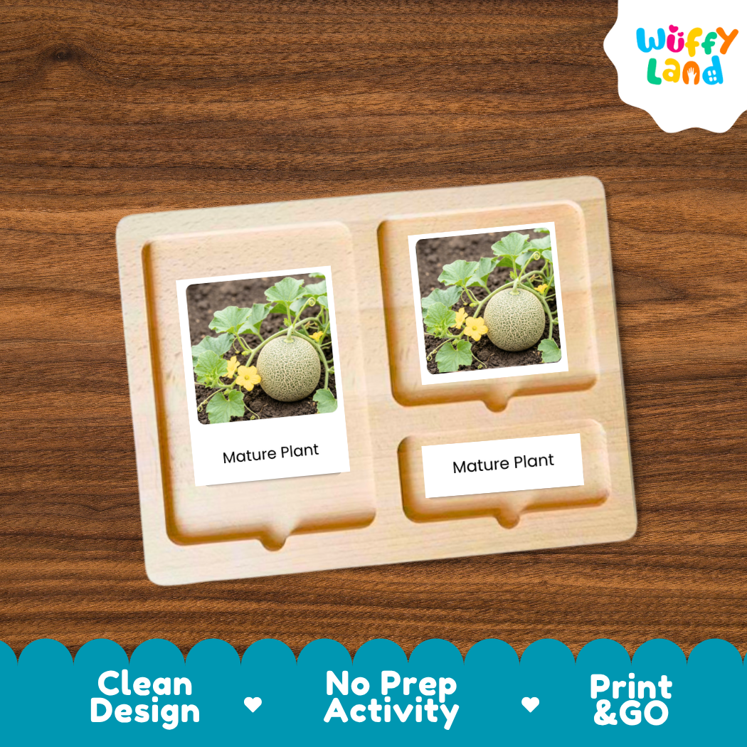 A wooden Montessori-style activity tray with two labeled slots reading 'Mature Plant,' each containing a small printed photo of a melon plant. The tray is shown on a wood surface, with a Wuffy Land logo in the top right and a blue promotional banner along the bottom.