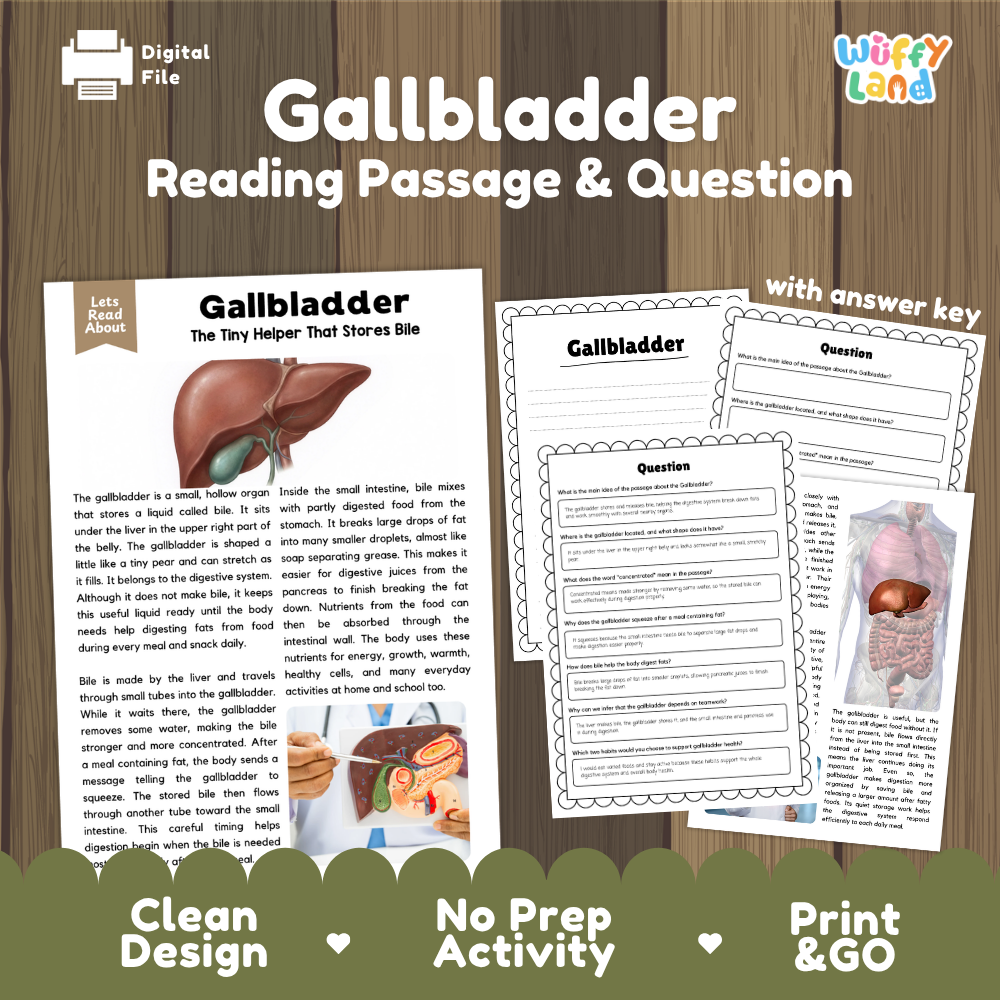 Gallbladder reading comprehension passage and questions printable activity pack with answer key for elementary students