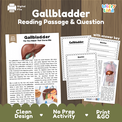 Gallbladder reading comprehension passage and questions printable activity pack with answer key for elementary students