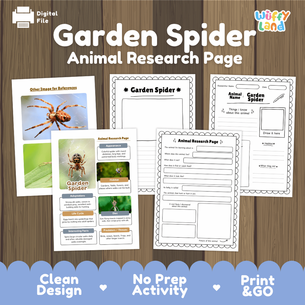 Garden Spider Animal Research Page Worksheets and Fact Sheet Activity