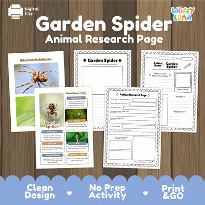Garden Spider Animal Research Page Worksheets and Fact Sheet Activity