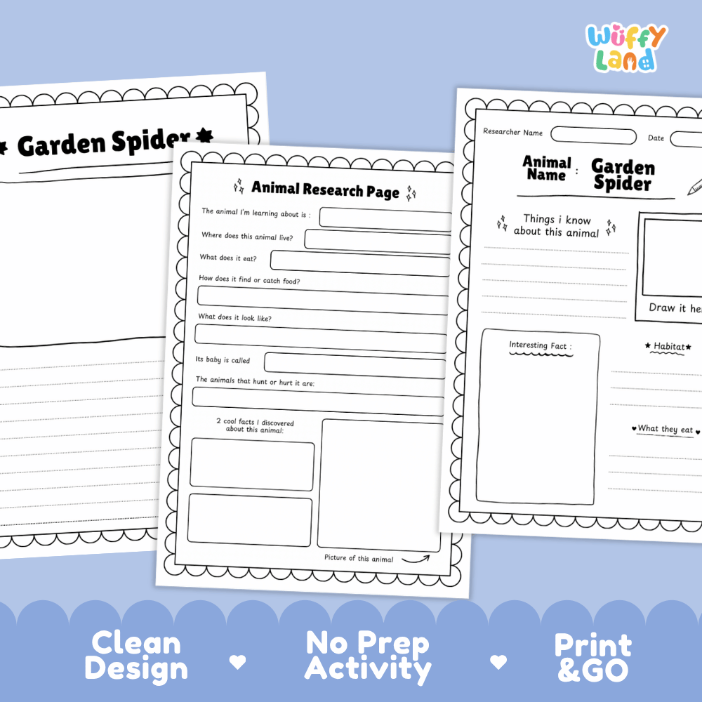 Garden Spider Animal Research Page Worksheets and Fact Sheet Activity