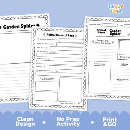 Garden Spider Animal Research Page Worksheets and Fact Sheet Activity