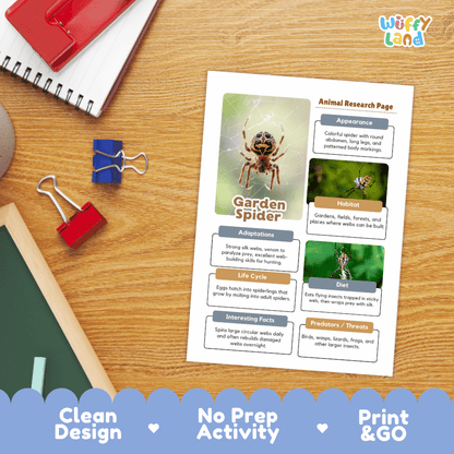Garden Spider Animal Research Page Worksheets and Fact Sheet Activity