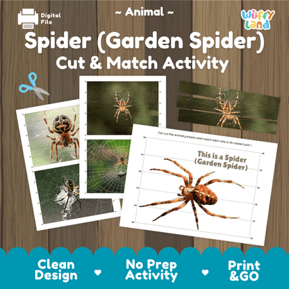 Garden Spider Cut and Match Activity Printables Worksheets