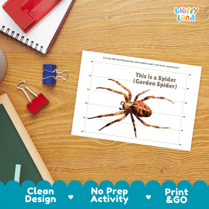 Garden Spider Cut and Match Activity Printables Worksheets